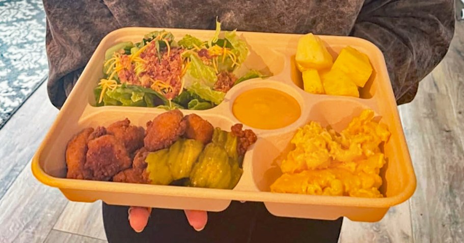 These 5 Compartment Compastable Paper Plates Are GENIUS!
