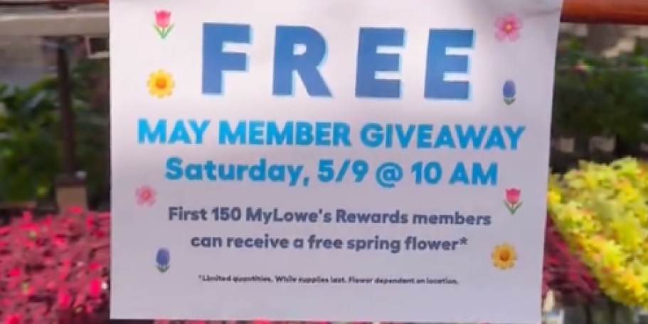Today Only! FREE Mother’s Day Flower at Lowe’s (+ New Pink Kobalt Tool Set)