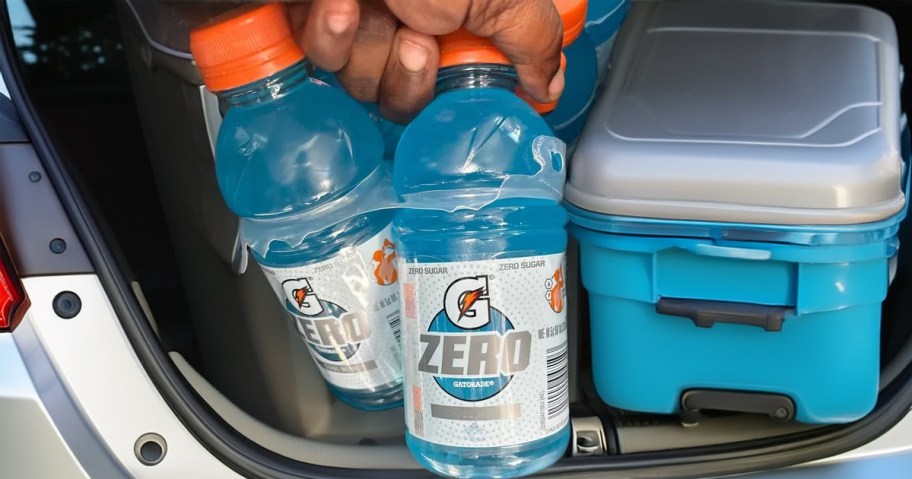 Gatorade Zero 12 Pack