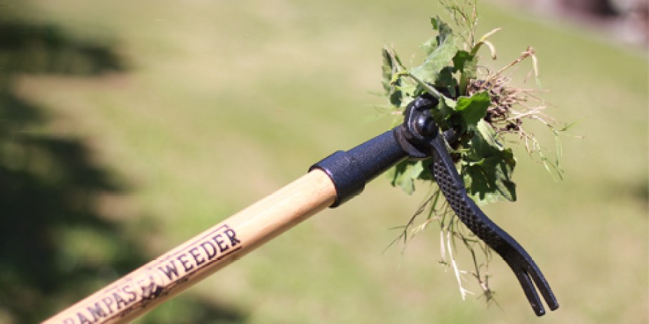 Grampa’s Weeder is a Total Game-Changer for Your Yard (No Bending or Kneeling!)