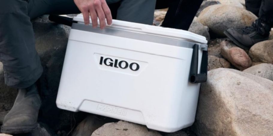 Igloo 25-Quart Marine Cooler Just $27.99 on Amazon | Rust-Resistant Hardware & Built-In Fish Ruler