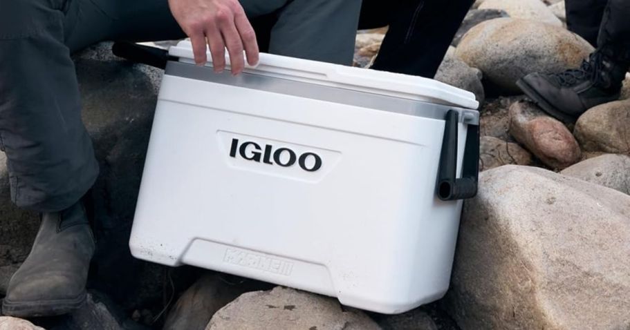 Igloo 25-Quart Marine Cooler Just $27.99 on Amazon | Rust-Resistant Hardware & Built-In Fish Ruler