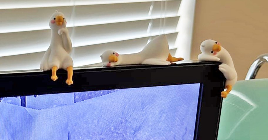 mini geese figures on top of computer monitor