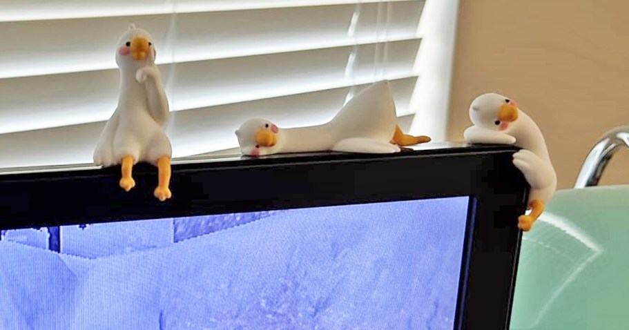 FOUR Cute Mini Geese Decorations Only $11.89 on Amazon