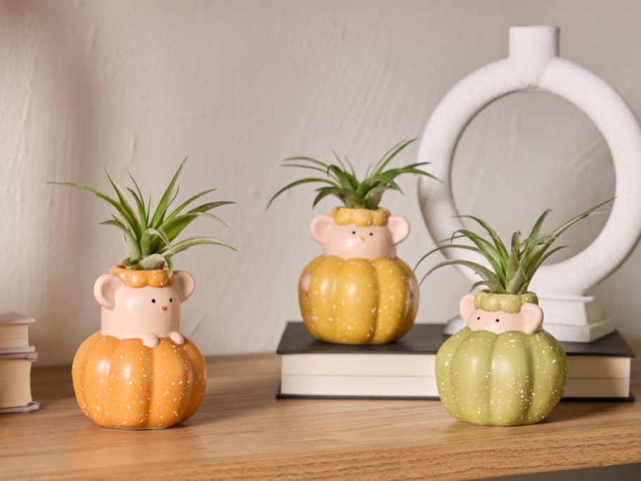 Three mouse-shaped ceramic planters designed as pumpkins, featuring orange, yellow, and green colors, each holding an air plant on top.