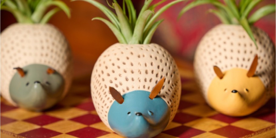 How Cute Are These Lowe’s Hedgehog Planters?!