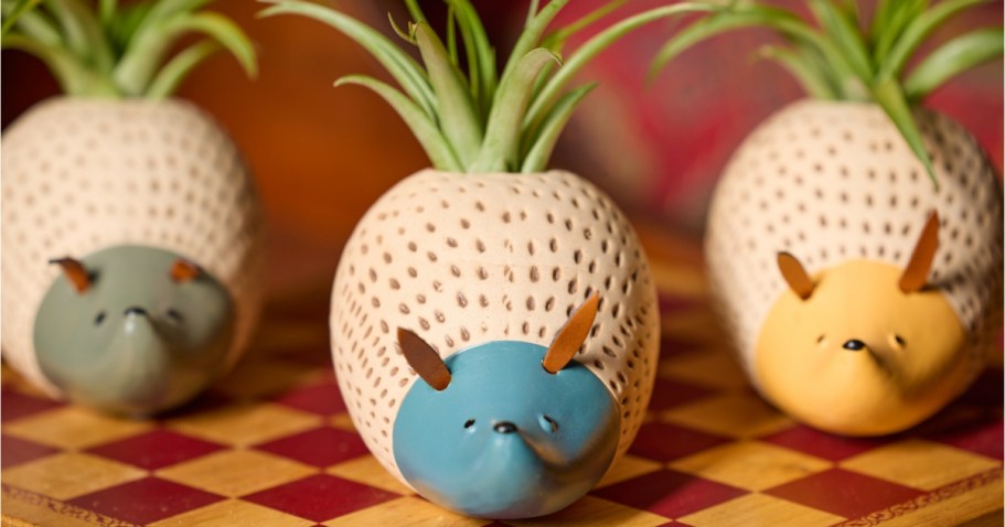 How Cute Are These Lowe’s Hedgehog Planters?!
