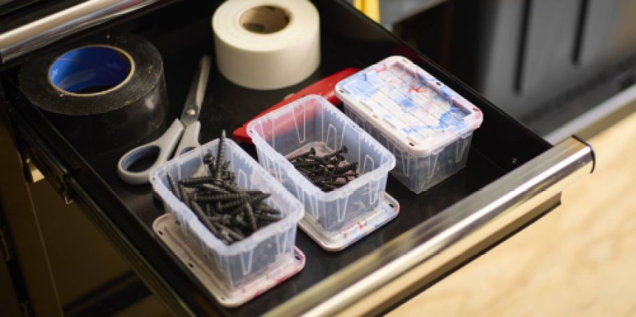 *NEW* Lowe’s Teeny Tote Just $1.98 | 50K Sold Last Week