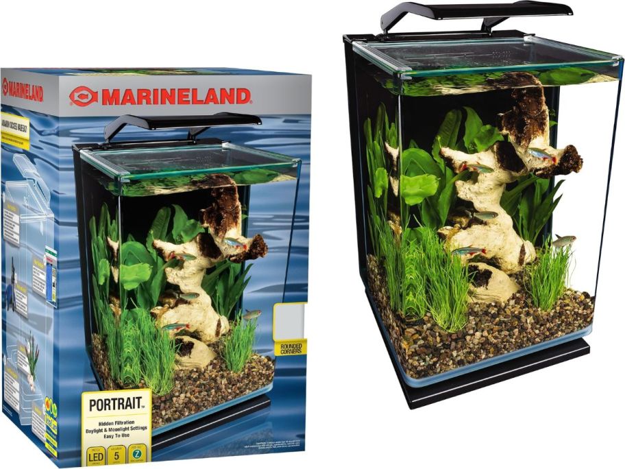 Marineland Portrait Glass LED Aquarium Kit 5-Gallons&nbsp;