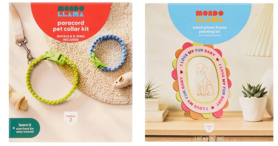 Mondo Llama Pets Craft Paracord Collar Activity Kit and 4x6 Wood Frame Painting Activity Kit