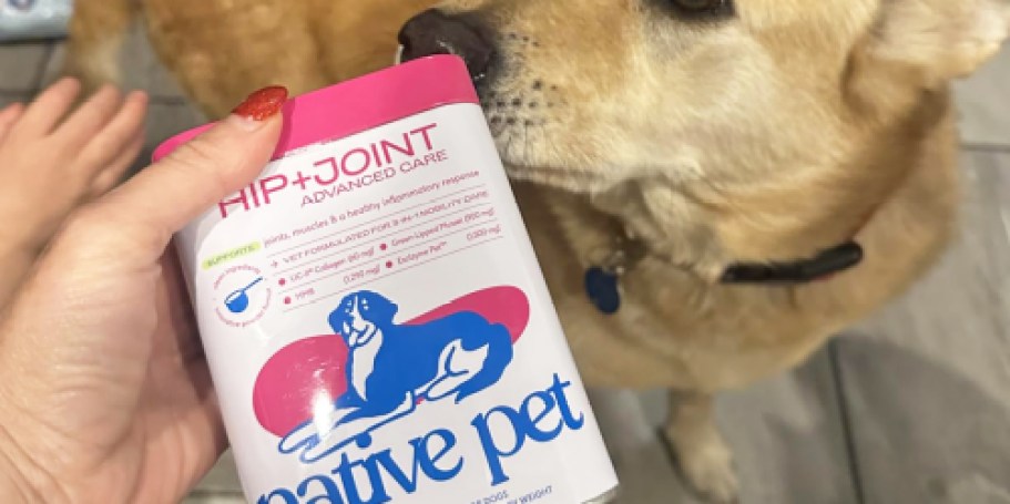 Native Pet Hip & Joint Supplement Just $12.49 Shipped on Amazon (Reg. $35)