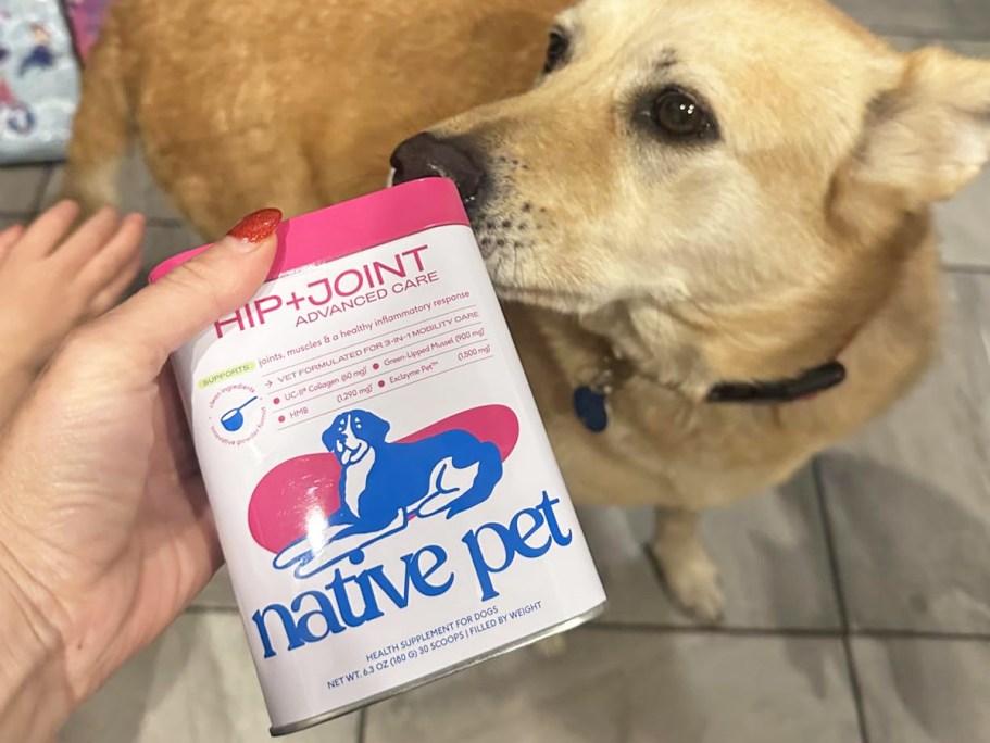 Native Pet Hip & Joint Supplement Just $12.49 Shipped on Amazon (Reg. $35)
