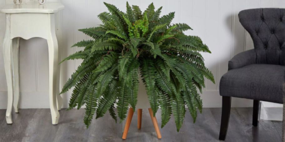 Lifelike Boston Ferns 20-Count from $40.49 Shipped (Regularly $144)