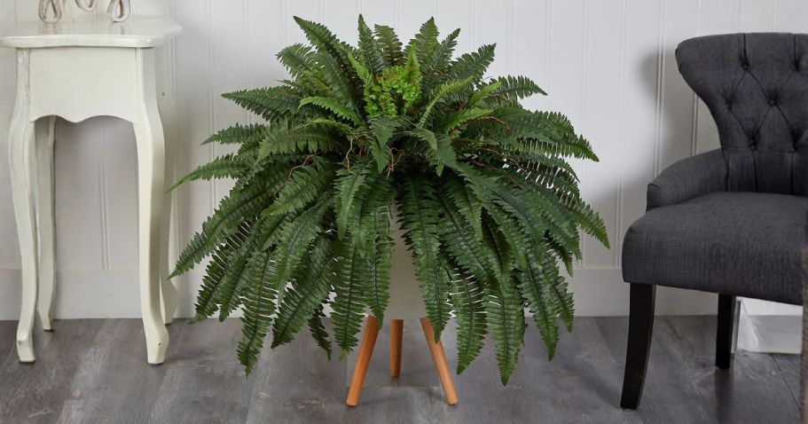 Lifelike Boston Ferns 20-Count from $40.49 Shipped (Regularly $144)