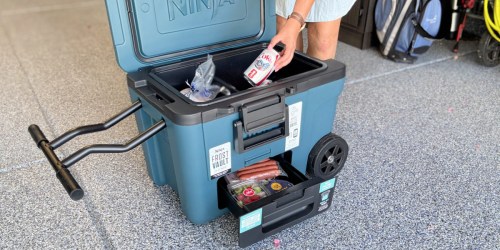 Score the Best Price on a Ninja FrostVault Wheeled Cooler w/ Cutting Board – Today Only!