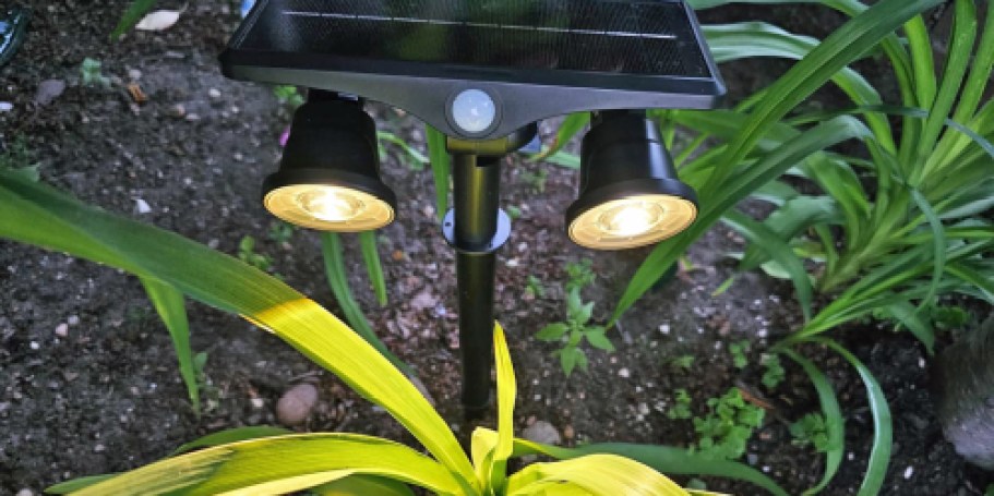 Dual-Head Solar Outdoor Lights 2-Pack Only $9.99 on Amazon (Reg. $18)