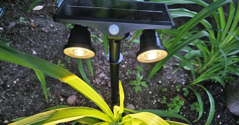 dual head solar light shining on a plant