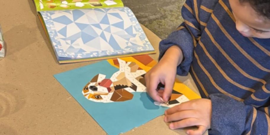 Paint By Sticker Books from $4.94 Shipped on Amazon (Great Rainy Day Activity!)