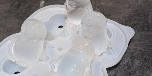 Penguin Ice Cube Tray Just $4.99 on Amazon (Reg. $13)