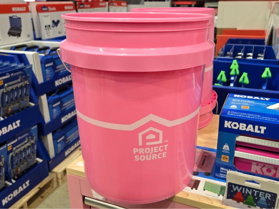 Pink Project Source Buckets at Lowes