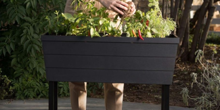 Keter 12.7-Gallon Raised Garden Bed Just $67 Shipped on Amazon (Reg. $100)