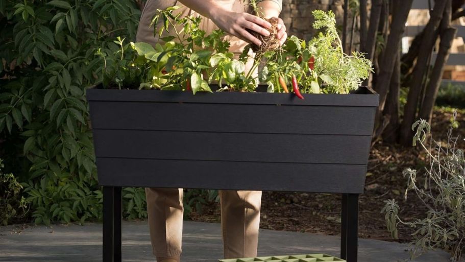 Keter 12.7-Gallon Raised Garden Bed Just $67 Shipped on Amazon (Reg. $100)