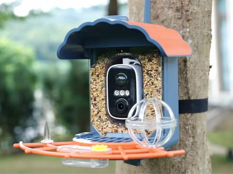 A smart bird feeder on a tree