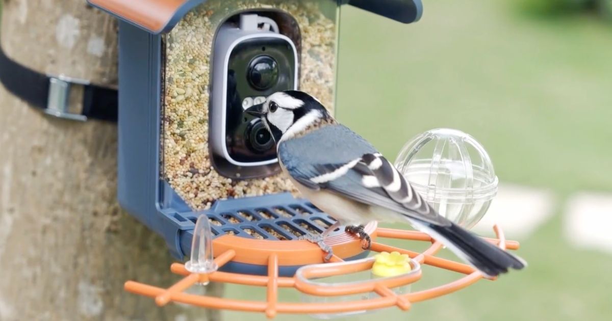 Smart Bird Feeder w/ Camera Just $29.99 Shipped on Amazon (Reg. $60)