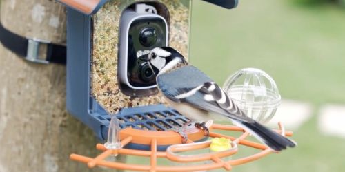 Smart Bird Feeder w/ Camera Just $29.99 Shipped on Amazon (Reg. $60)