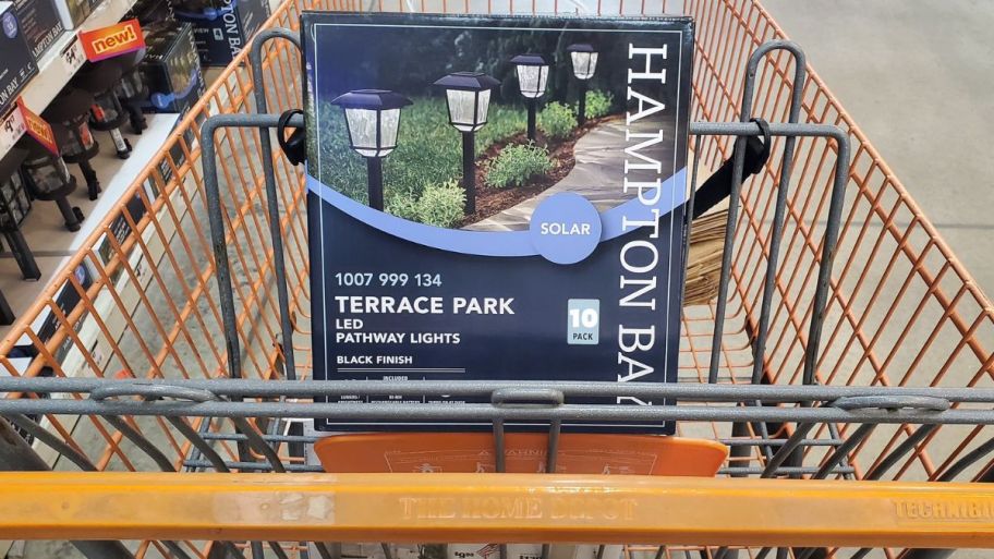 10 Pack Solar Lights in Shopping Cart at Home Depot