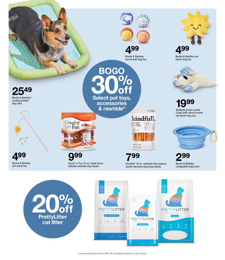 page from Target ad