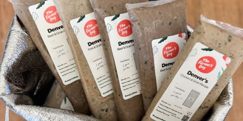 This is Our #1 Pick for Personalized, Fresh Dog Food (Get 60% Off + Free Treats!)