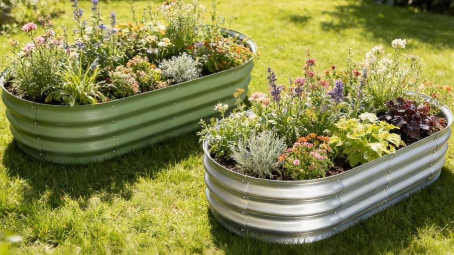 Two garden beds