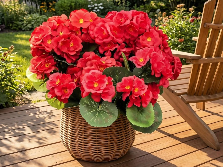 A wicker basket filled with vibrant red begonias and lush green leaves sits on a sunlit wooden deck next to a wooden chair.