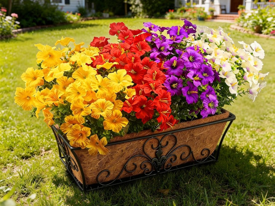 A vibrant flower box filled with yellow, red, purple, and white petunias sits on green grass.