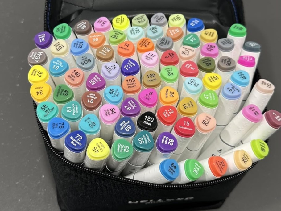 Alcohol Markers 80-Pack with Storage Case Just $10.49 on Amazon