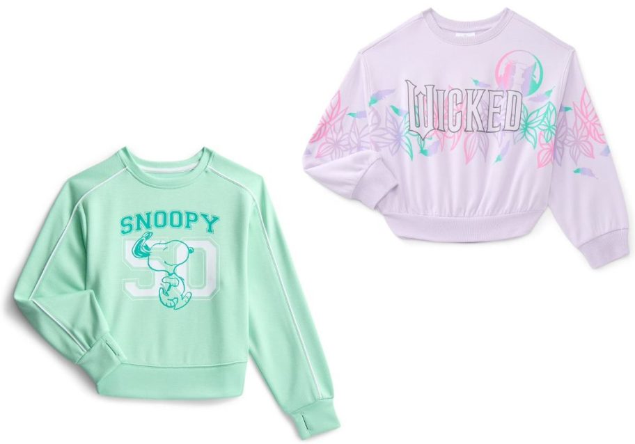 Stock images of two sweatshirts