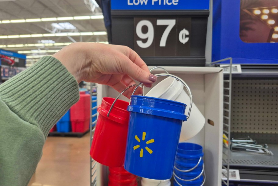 Walmart Just Dropped Mini Buckets (+ They’re Under $1!)