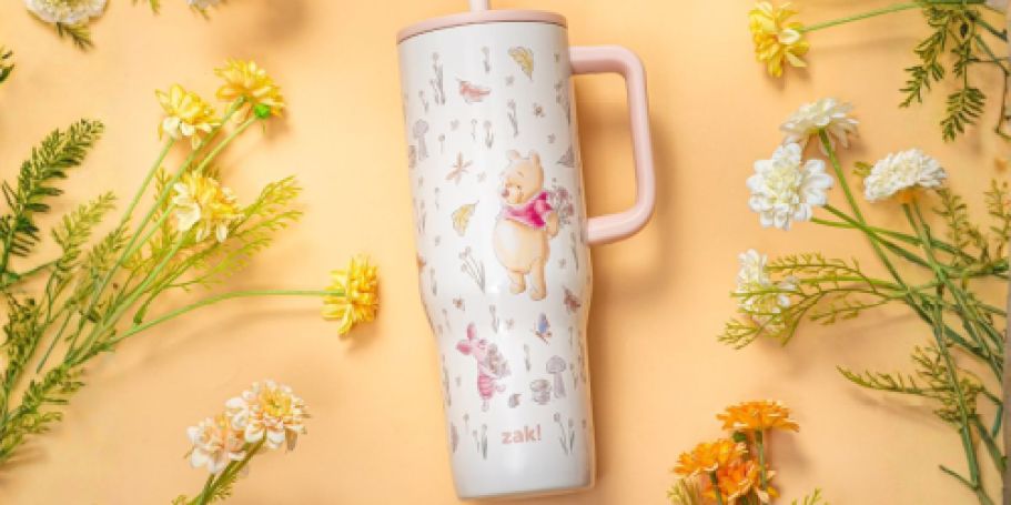 Zak Tumblers Under $20 on Walmart.com | Disney, K-Pop Demon Hunters, & More