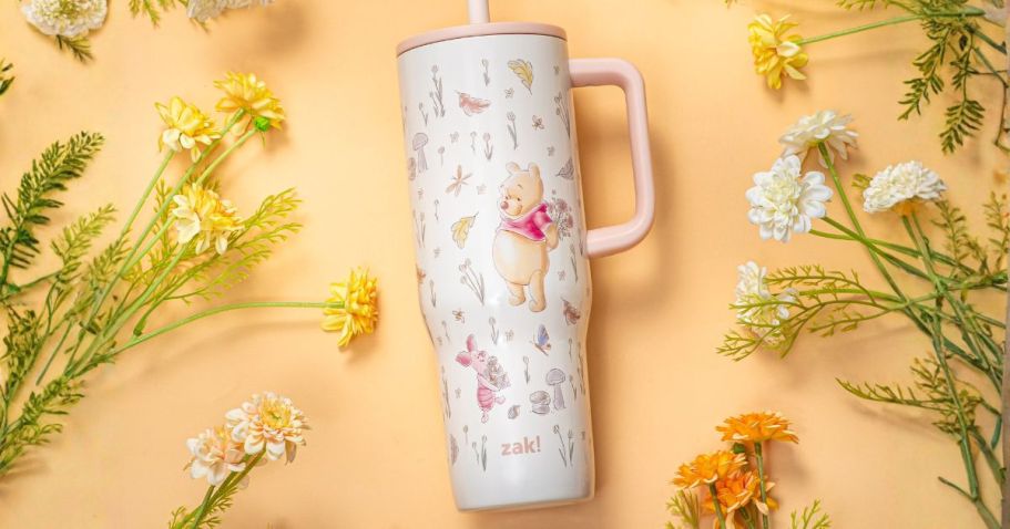 10 Zak Tumblers Under $20 on Walmart.com | Disney, K-Pop Demon Hunters, & More