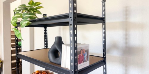5-Tier Metal Storage Shelf Only $29 Shipped (Reg. $130)