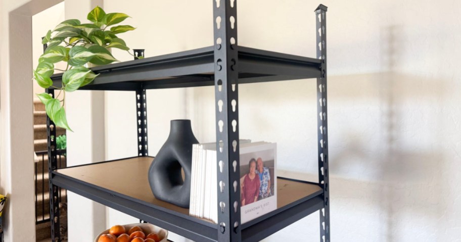 shelf with plant and books on it