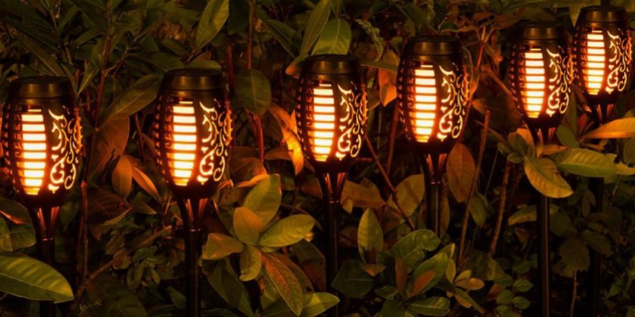 solar lights in front of bushes