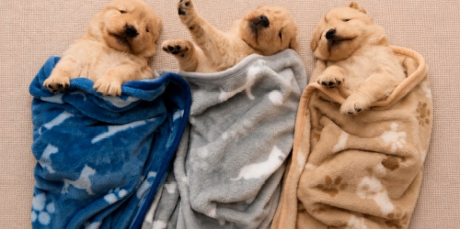 Cooling Pet Blanket 3-Pack Only $5.99 on Amazon