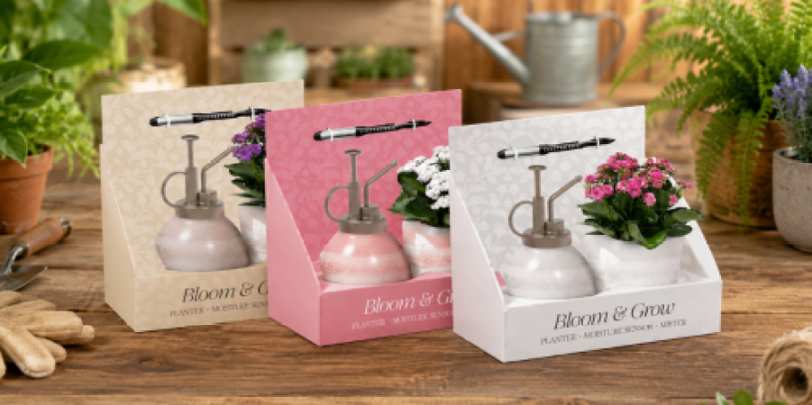 This Plant Gift Set is the Perfect Mother’s Day Gift (& It’s on Sale!)