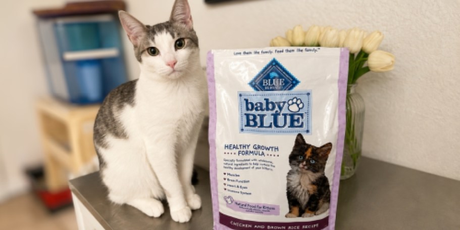 What?! Blue Buffalo Kitten Food UNDER $3 Shipped!