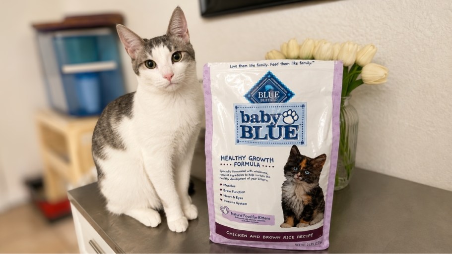 What?! Blue Buffalo Kitten Food UNDER $3 Shipped!