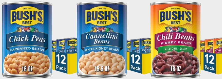 3 12 packs of different varieties of bush beans