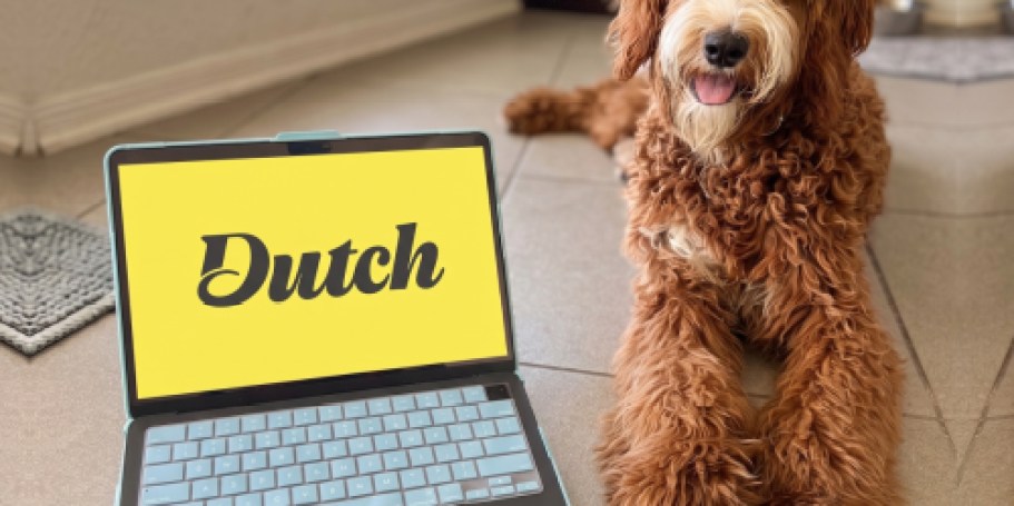 Get Unlimited Vet Support for Around $7/Month with Our $50 Off Code