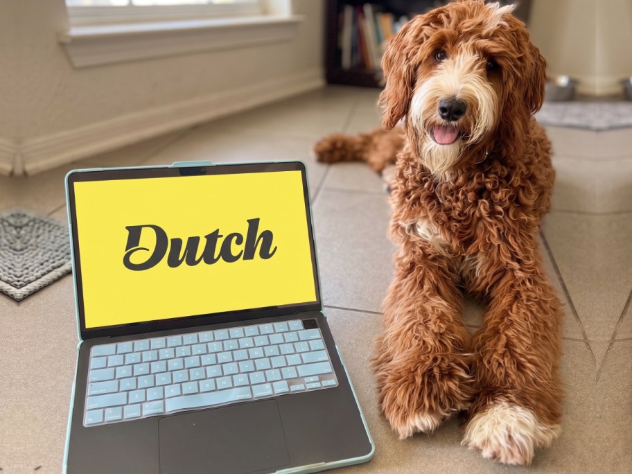 dog sitting next to laptop with dutch on screen